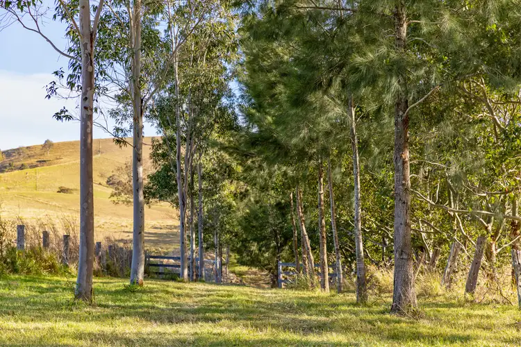 Second view of Homely rural property listing, Lot 13 Henneys Road, Dungog NSW 2420
