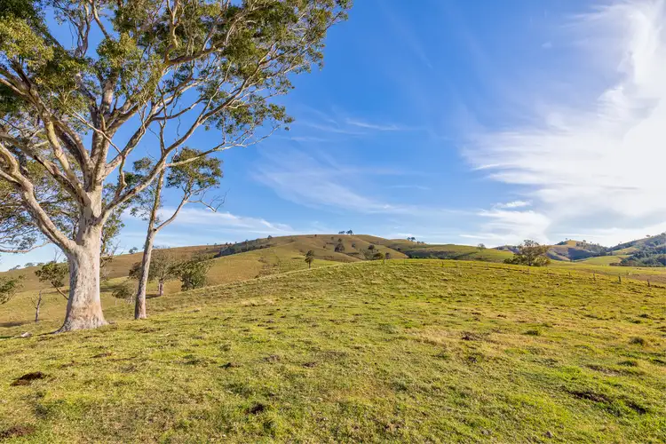 Seventh view of Homely rural property listing, Lot 13 Henneys Road, Dungog NSW 2420