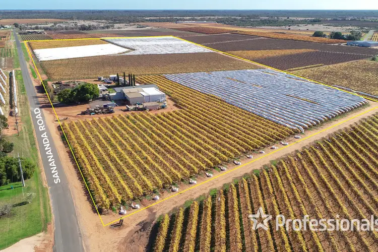 Main view of Homely rural property listing, 110 Sanananda Road, Robinvale VIC 3549