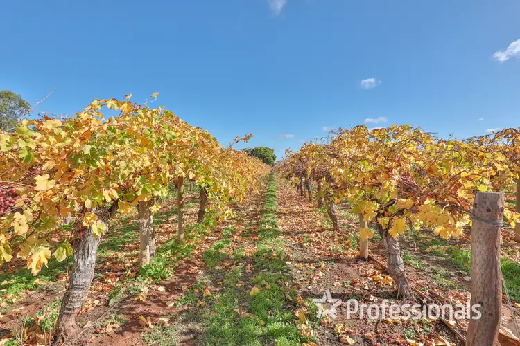 Third view of Homely rural property listing, 110 Sanananda Road, Robinvale VIC 3549
