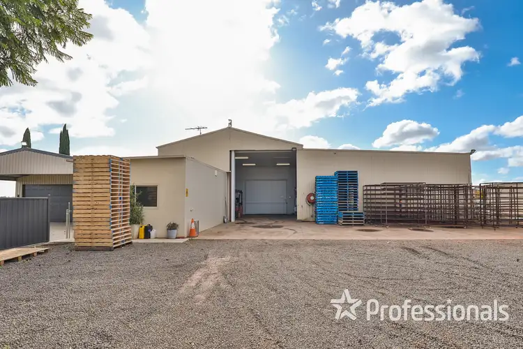 Sixth view of Homely rural property listing, 110 Sanananda Road, Robinvale VIC 3549