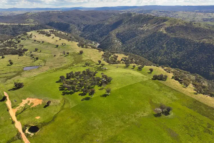 Fourth view of Homely rural property listing, 1620 Ullamalla Rd, Mudgee NSW 2850