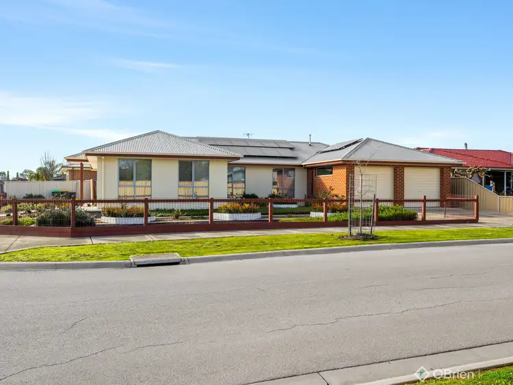 41 Thomas Wedge Drive, Wangaratta VIC 3677