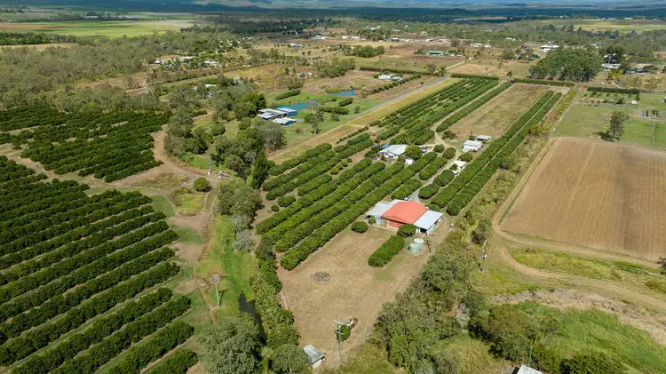 Main view of Homely rural property listing, 209 Malone Road, Mareeba QLD 4880