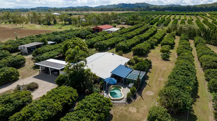 Second view of Homely rural property listing, 209 Malone Road, Mareeba QLD 4880