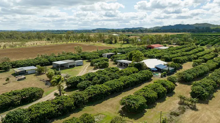 Third view of Homely rural property listing, 209 Malone Road, Mareeba QLD 4880