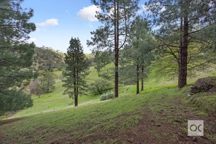 Fifth view of Homely land listing, 224 Corkscrew Road, Montacute SA 5134