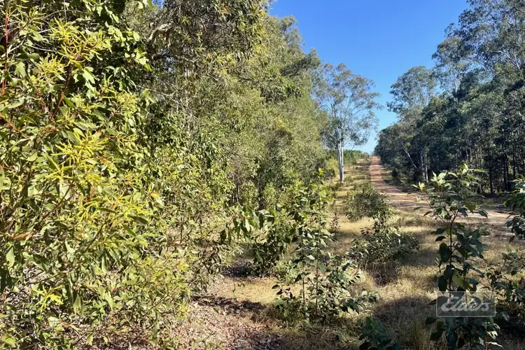 Second view of Homely land listing, Lot 169 Forestry Road, Bauple QLD 4650