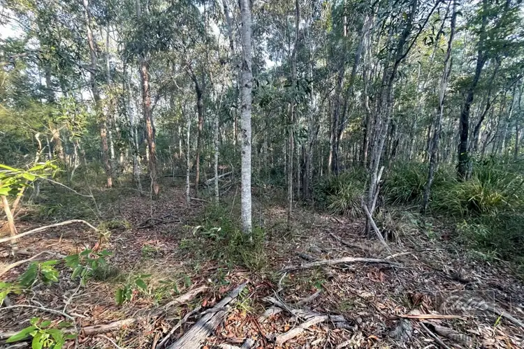 Third view of Homely land listing, Lot 169 Forestry Road, Bauple QLD 4650