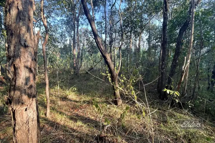 Fourth view of Homely land listing, Lot 169 Forestry Road, Bauple QLD 4650