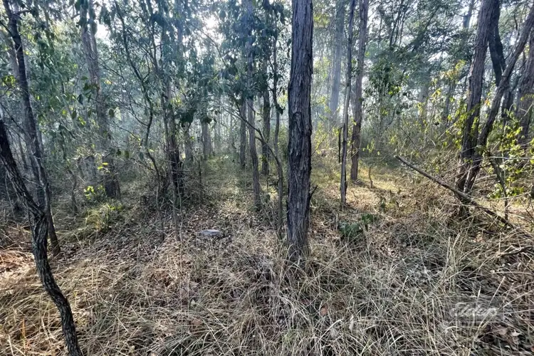 Seventh view of Homely land listing, Lot 169 Forestry Road, Bauple QLD 4650