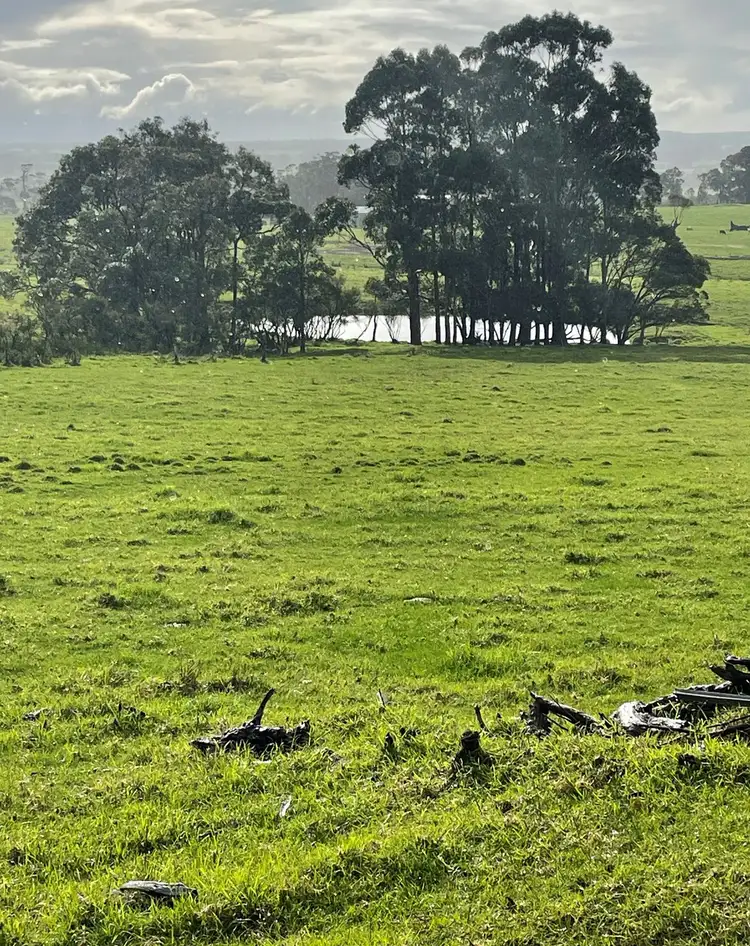 Second view of Homely rural property listing, 397 Meanwood Road, Kronkup WA 6330