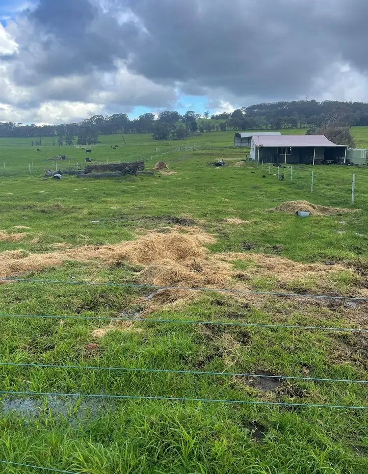 Fourth view of Homely rural property listing, 397 Meanwood Road, Kronkup WA 6330