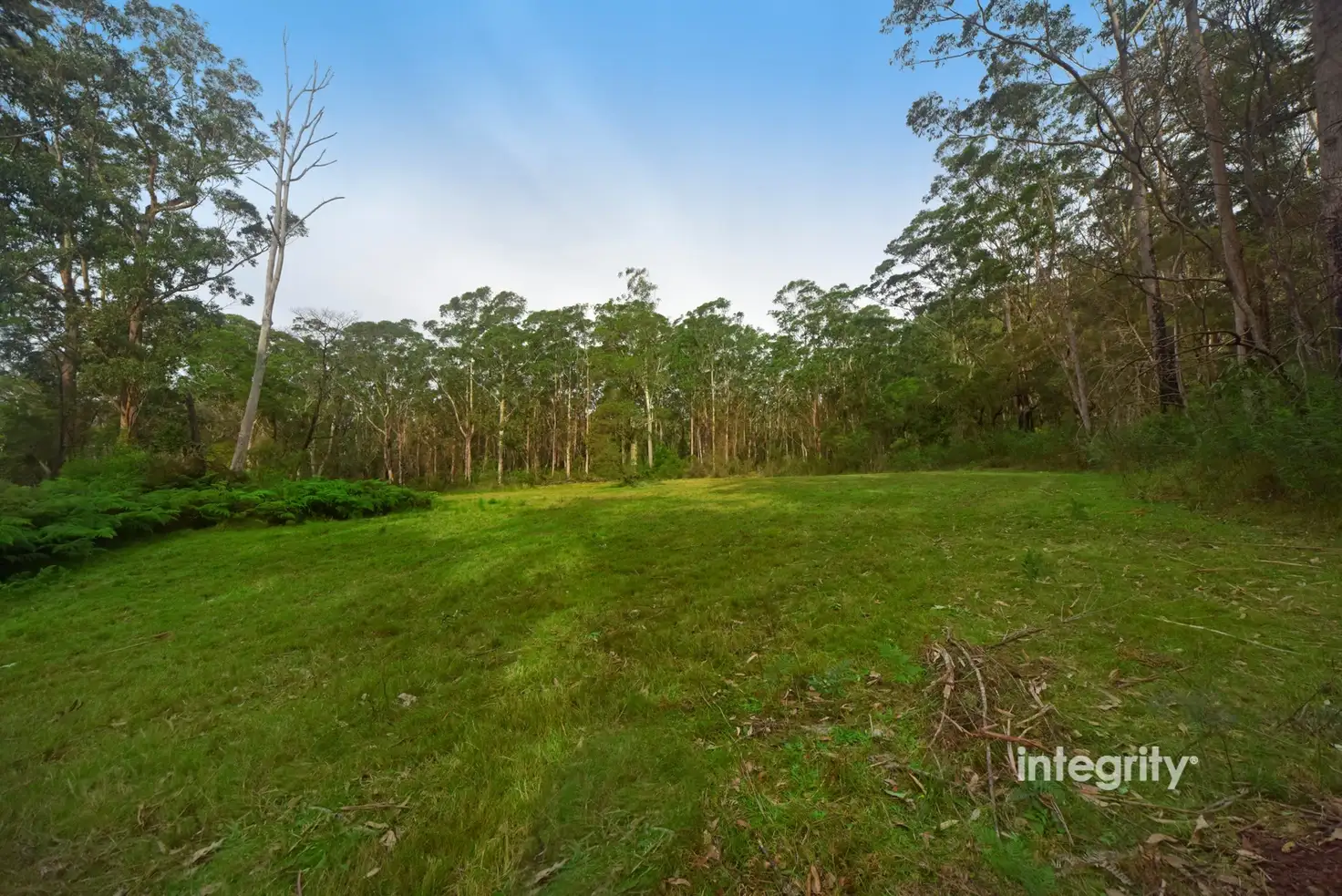 Main view of Homely rural property listing, LOT 41 Yerriyong Road, Yerriyong NSW 2540