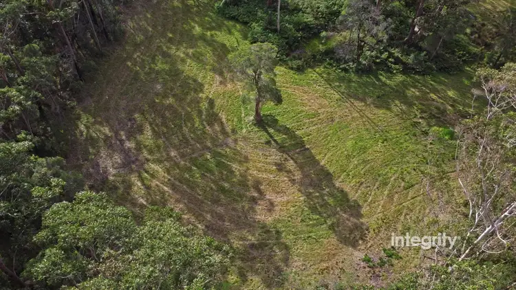 Seventh view of Homely rural property listing, LOT 41 Yerriyong Road, Yerriyong NSW 2540