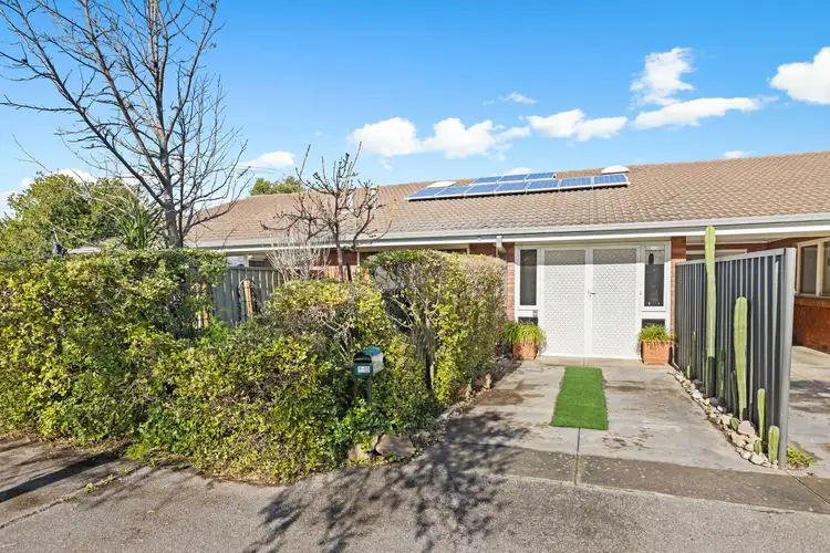 Main view of Homely unit listing, 3/12 Stonehouse Avenue, Camden Park SA 5038