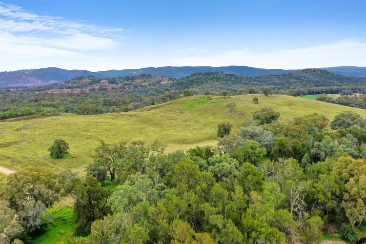 2188 Yarrabin Rd, Mudgee NSW 2850