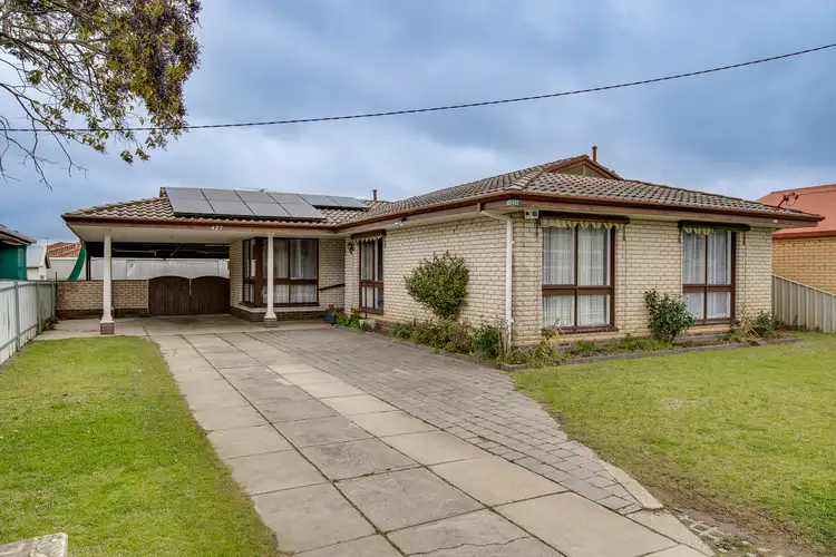 Main view of Homely house listing, 427 Douglas Road, Lavington NSW 2641