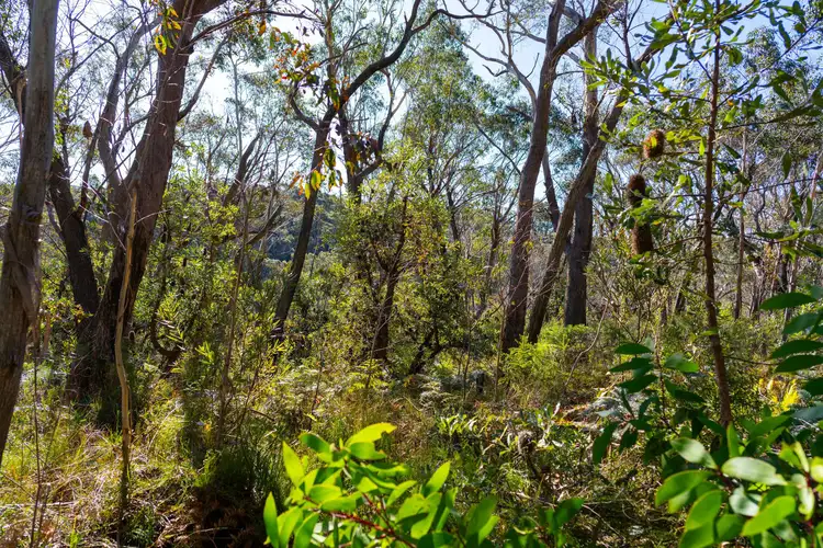 Third view of Homely land listing, 21 Explorers Road, Katoomba NSW 2780