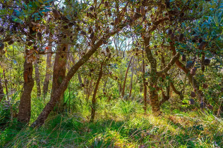 Fifth view of Homely land listing, 21 Explorers Road, Katoomba NSW 2780