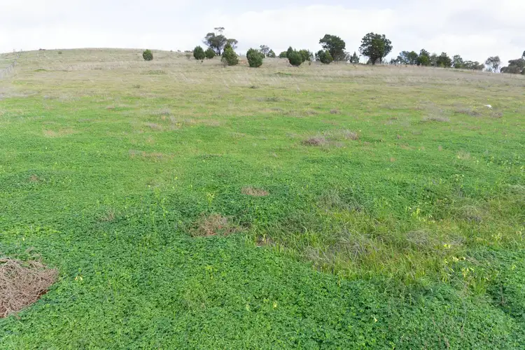Third view of Homely land listing, LOT 1 Cowley Road, Cleve SA 5640