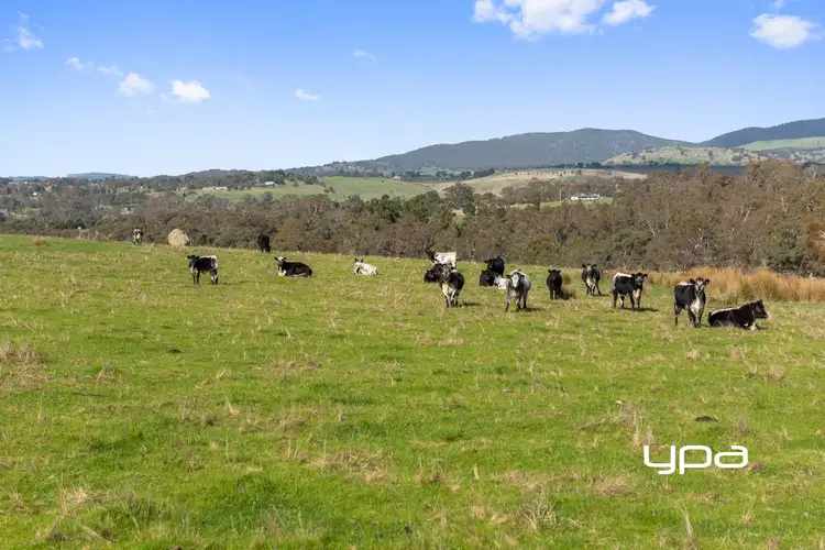 Third view of Homely rural property listing, 200 West Road, Pyalong VIC 3521
