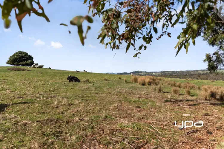 Fourth view of Homely rural property listing, 200 West Road, Pyalong VIC 3521