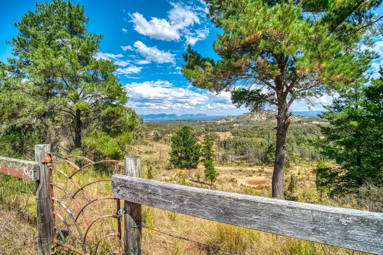 Fourth view of Homely rural property listing, 2039 Dunville Loop Road, Bogee NSW 2849
