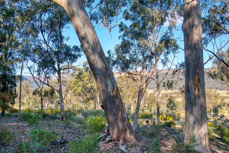 Fourth view of Homely rural property listing, 335 Upper Nile Road, Rylstone NSW 2849
