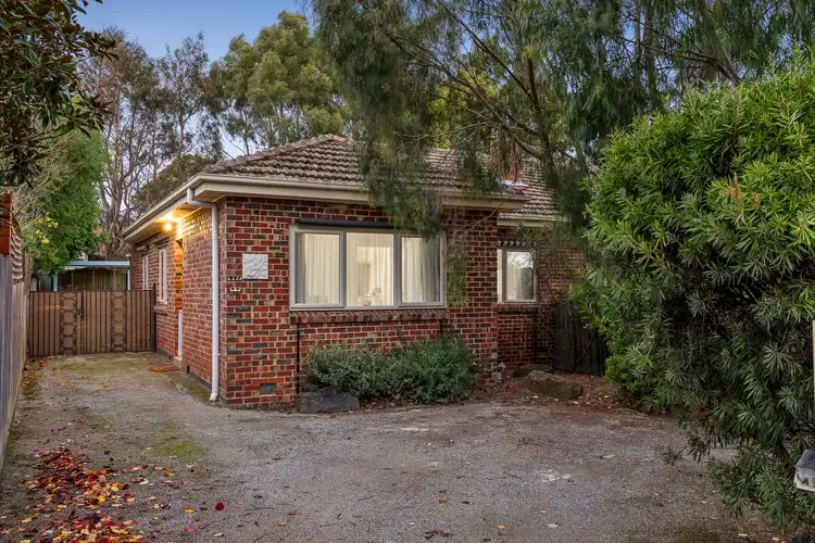 442A Middleborough Road, Blackburn VIC 3130