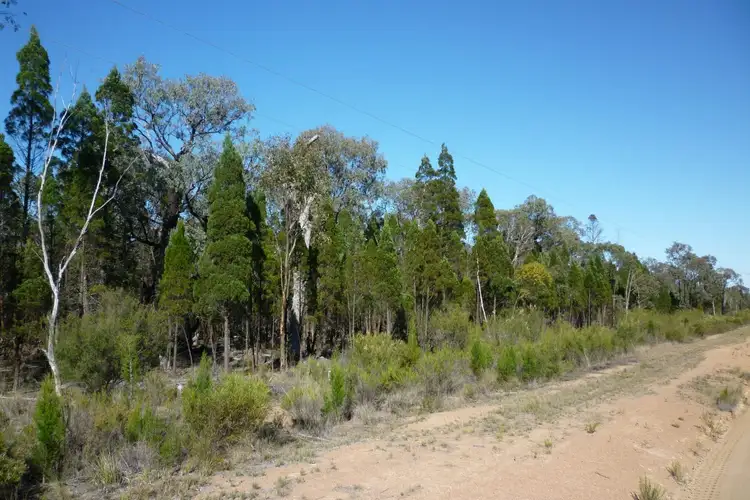 Second view of Homely rural property listing, 74 Pine Street, Yarrawonga NSW 2850