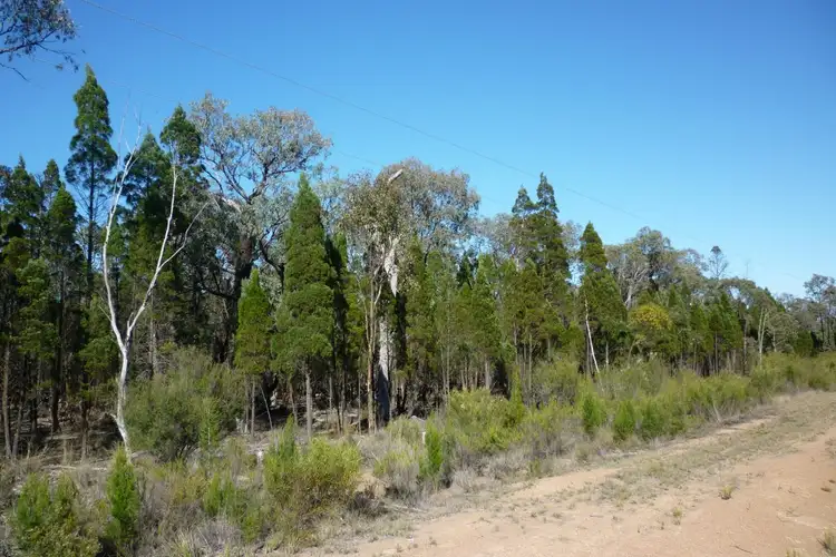 Fourth view of Homely rural property listing, 74 Pine Street, Yarrawonga NSW 2850