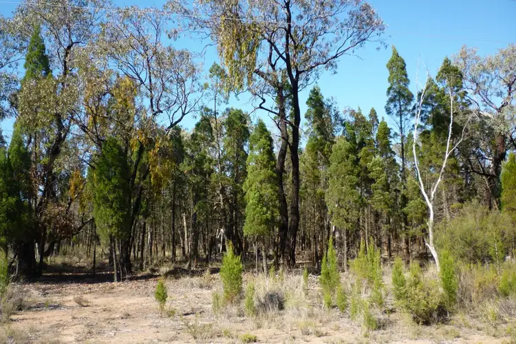 Fifth view of Homely rural property listing, 74 Pine Street, Yarrawonga NSW 2850