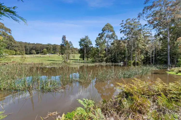 Third view of Homely rural property listing, F1465 Princes Highway, Termeil NSW 2539