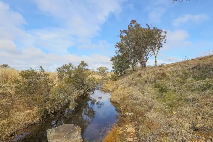 Seventh view of Homely rural property listing, 916 Campbells Creek Road, Mudgee NSW 2850
