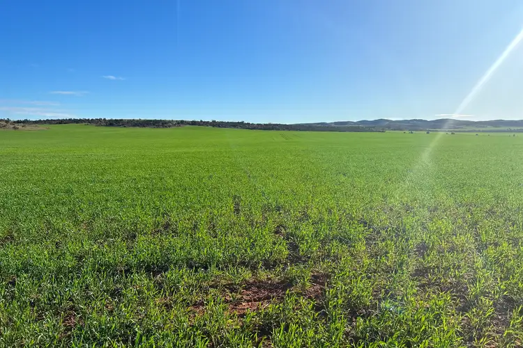 Second view of Homely rural property listing, Lot 2 Maratta Road, Cowell SA 5602