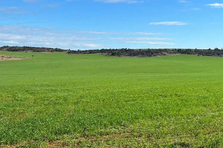 Fourth view of Homely rural property listing, Lot 2 Maratta Road, Cowell SA 5602