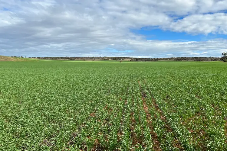 Sixth view of Homely rural property listing, Lot 2 Maratta Road, Cowell SA 5602