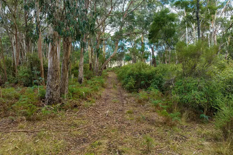 Fifth view of Homely rural property listing, 622 Tames Road, Strathbogie VIC 3666