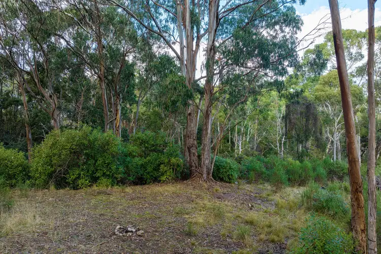 Seventh view of Homely rural property listing, 622 Tames Road, Strathbogie VIC 3666