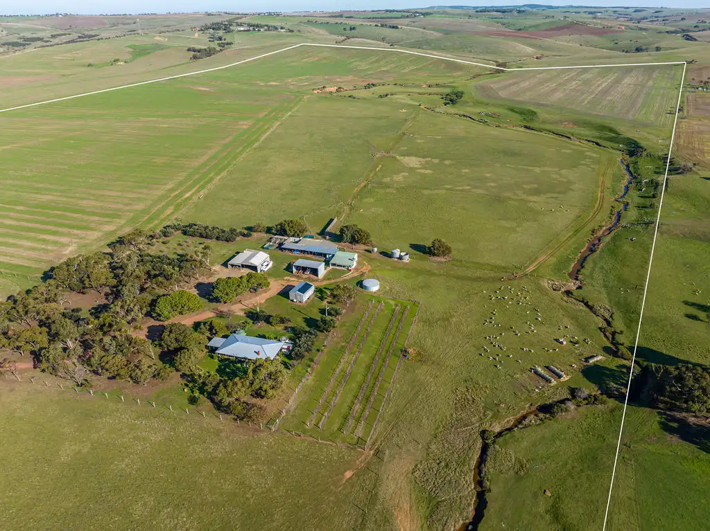 Main view of Homely rural property listing, 1359 Lincoln Highway, North Shields SA 5607