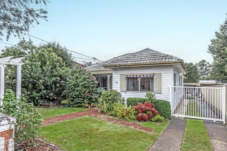 12 Dudley Street, Rydalmere NSW 2116