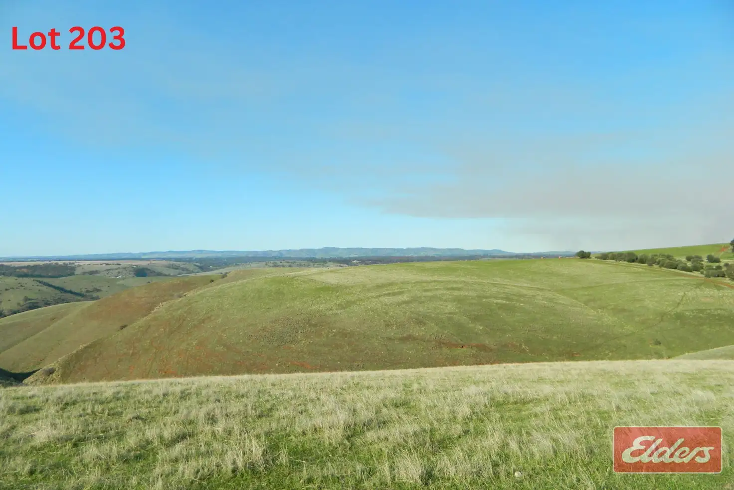 Main view of Homely land listing, LOT 203 Gawler One Tree Hill Road, Gawler SA 5118