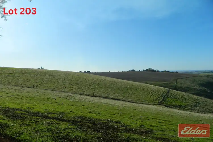 Sixth view of Homely land listing, LOT 203 Gawler One Tree Hill Road, Gawler SA 5118