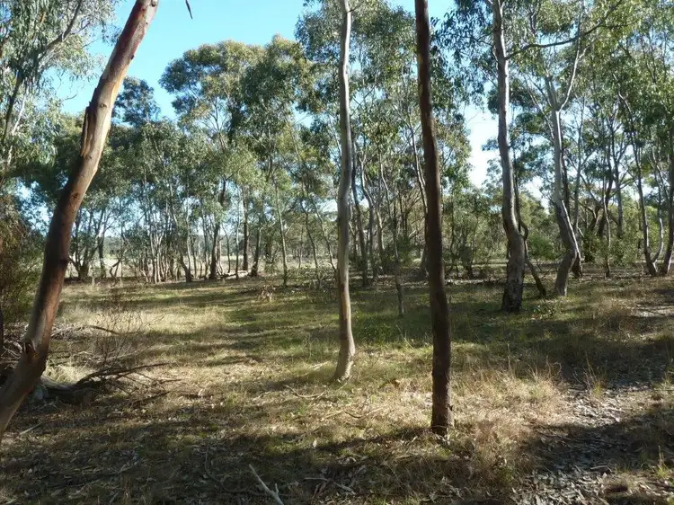 Third view of Homely rural property listing, Lot 1D Wehla-Wedderburn Road, Wedderburn VIC 3518