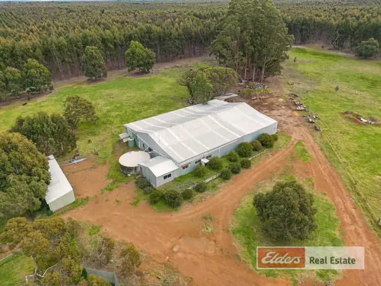 Sixth view of Homely rural property listing, 1113 Settlement Road, Narrikup WA 6326