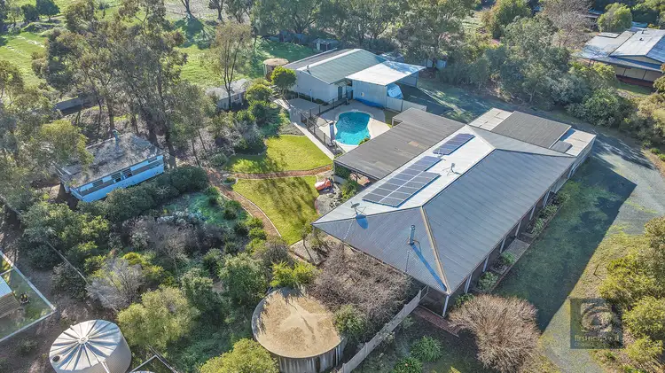 1102 Mount Terrick Road, Wharparilla VIC 3564