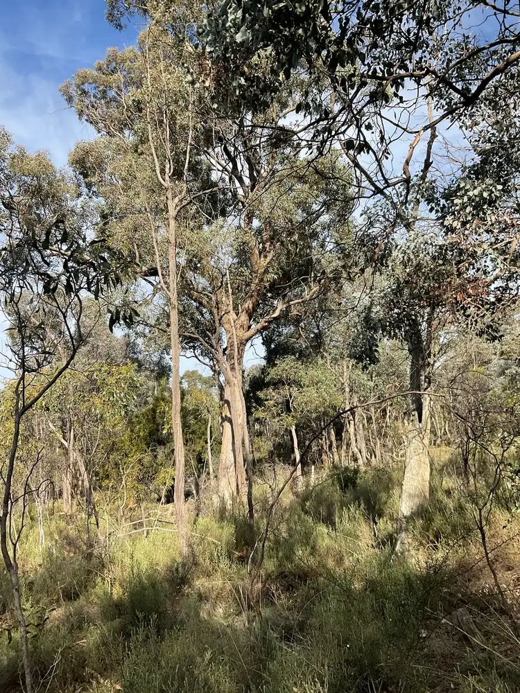 Second view of Homely rural property listing, Dalyenong Road, Stuart Mill VIC 3477