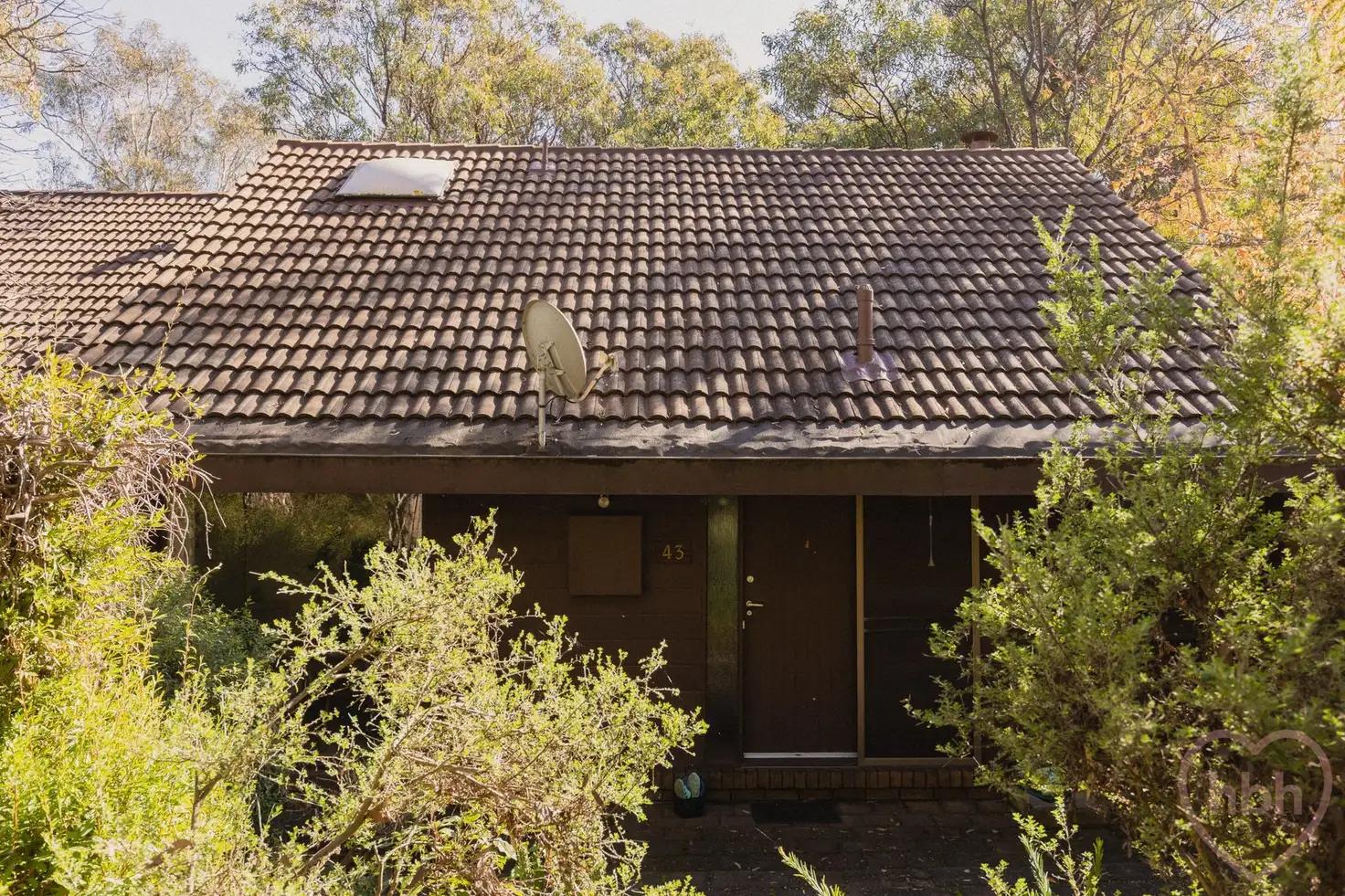 Main view of Homely townhouse listing, 43 Wybalena Grove, Cook ACT 2614