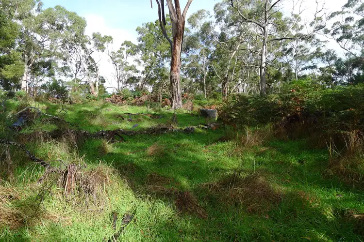 Sixth view of Homely rural property listing, 456 Scoullers Road, Carpendeit VIC 3260